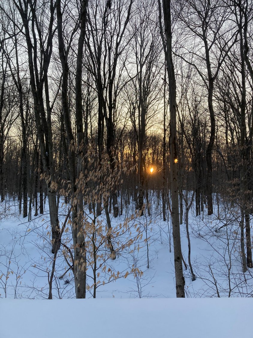 Adventure outdoors at dusk to experience the golden glow of a winter sunset...